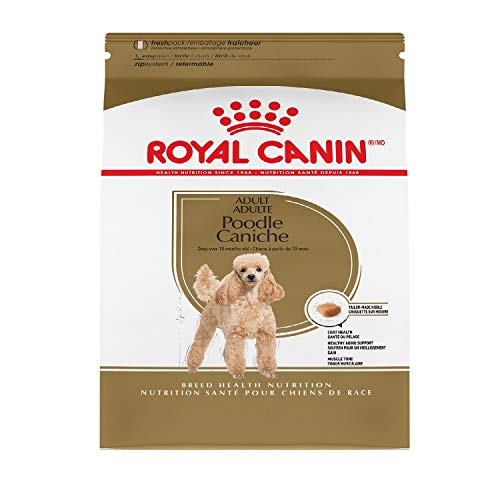 best dog food for toy poodles