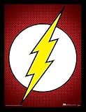 Objet Souvenir DC Comics (The Flash Symbol 30 x 40 cm Objet Souvenir