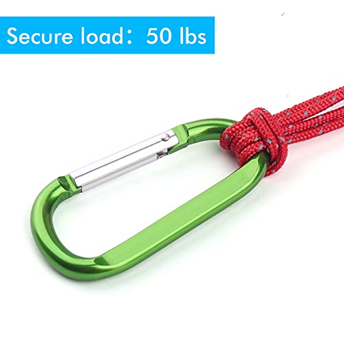 Image of CampTek Carabiner Caribeaner Clip,3 inch Large Aluminum D Ring Shape Carabeaner with Keyring Keychain Hook