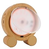 Bewinner Vertikaler Desktop-CD-Player, 5.3 FM USB AUX mit Timer-LED-Bildschirm, HiFi-Doppellautsprecher, für Heimmusikliebhaber, Sprachlerner (White)