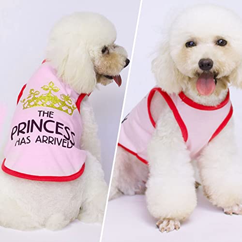 Axiijgl 3 Pieces Small Dog Shirts Summer Pet T-Shirts Soft Puppy Cotton T-Shirts Cute Princess Dog Shirts Printed Dog Sleeveless Shirt Vest With Funny Letters For Small Dog Cat Girl Xs #TOP6