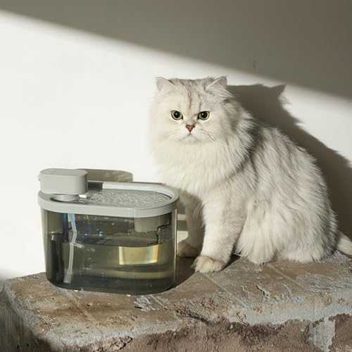 Fuente de agua para gatos 2.2 litros recargable USB miniatura 3