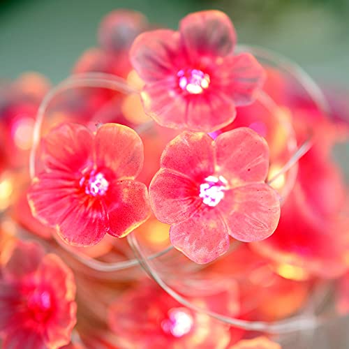 Focos Led, Home Improvement Imagen adicional