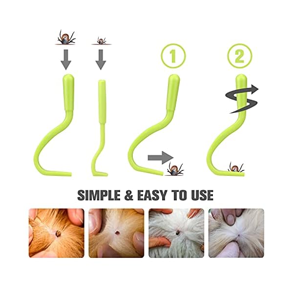 Cat Comb Dog Comb Fine Tooth Comb Pet Comb Grooming Set For Grooming And Removing Dandruff Flakes Remove Float Hair Tear Marks Cat Comb Dog Comb Fine Tooth Comb Pet Comb Grooming Set For Grooming And Removing Dandruff Flakes Remove Float Hair Tear Marks