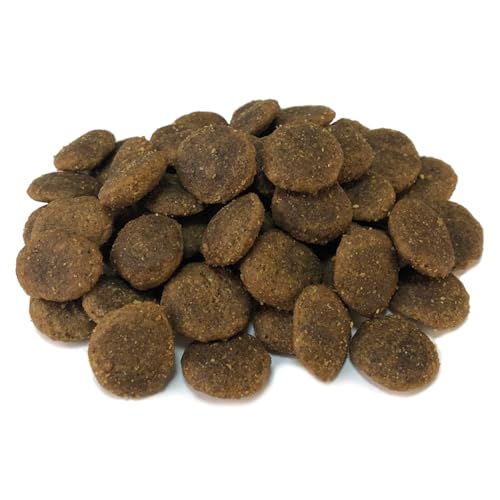 Arquivet Hundefutter mit Truthahn ohne Getreide, 12 kg (1 Stück)