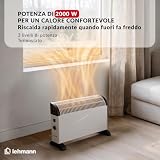 LEHMANN POLSKA B0CJ9KR2TL lato 4