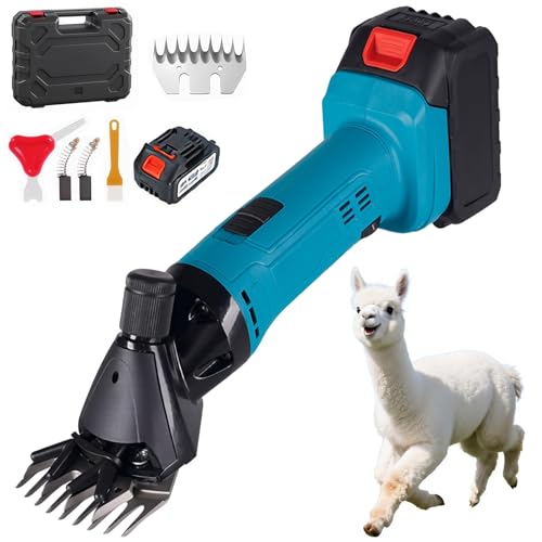 Réglage de l’écartement de la lame sur cette tondeuse à moutons pour éviter les coupures
