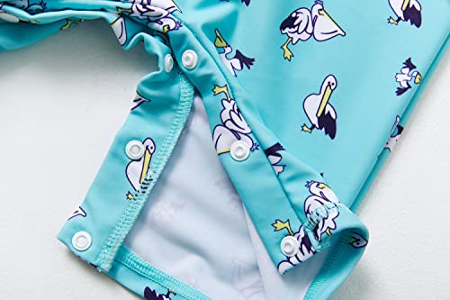Bonverano Baby Boys Swimsuit, Toddler Bathing Suit, Zip-Up, Full-Zip Hoodie One Piece Swimwear With Upf 50+ Sun Protection (Pelican, 3-6 Months) #TOP6