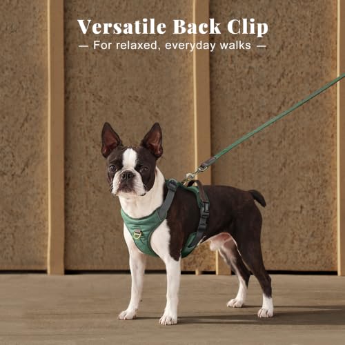 Image of Didog No Pull Dog Harness for Small Dogs, Classic PU Leather, Green, S