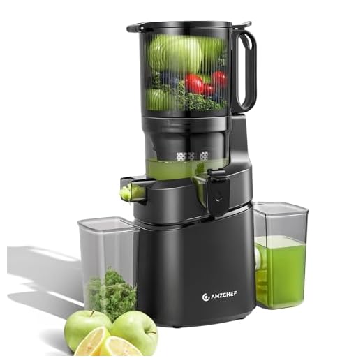 AMZCHEF 250 W automatische all-in-one sapcentrifuge, 145 mm opening en 2 l sapcentrifuge voor groenten en fruit, slowjuicer testwinnaar met drievoudig filter - zwart
