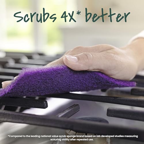 Image of Scotch-Brite Advanced Extreme Scrub, Ideal for Grills and Grates, 12 Scour Pads