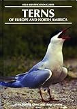 hans olsen roudette  Terns of Europe and North America (Helm Identification Guides) (English Edition)