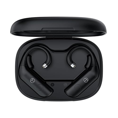 FAAEAL TRN BT20 Pro Bluetooth Earphone Module with QDC/S/C Pin,AAC/SBC True Wireless Ear Hook with Charging Case for KZ ZSN PRO Castor D-Fi PR3 EDA AS24 TRN Medusa Conch ORCA TANGZU WANER CCA (QDC)