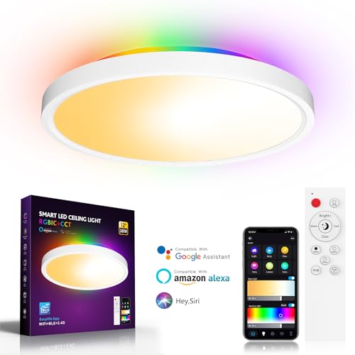 LED Ceiling Light, Smart RGBIC Flush Ceiling Lights Work with Alexa & Google Assistant, for Bedroom Living Room Kitchen, Round (2700-6500K)