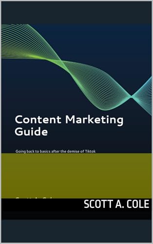Content Marketing Guide: Going Back to Basics After the Demise of Tiktok