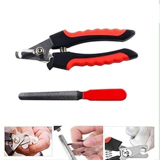 Pets Empire Dog Nail Cutter with Clipper, Multicolor (Large)