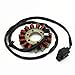 Motorcycle Magneto Stator Coil Fit For BMW S1000RR K46 S1000R K47 HP4 K42 HP 4 1000 EFI S1000XR K49 S1000 RR R XR S 1000