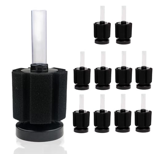 Lethornia X|W tB^[ ݎ XY 2835 O   납u  _J Mы ^  5/8/10/12 Zbg (5Zbg)