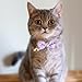 QfwdfcTrenz 2 Pack Breakaway Cat Collar with Bow Tie Bell, Cute Rainbow Butterfly Pattern Bowtie Collars Soft Kitten Collar Adjustable Safety Summer Collars for Male Female Cats