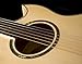 Washburn Festival EA20 Acoustic Electric Guitar (EA20-A)