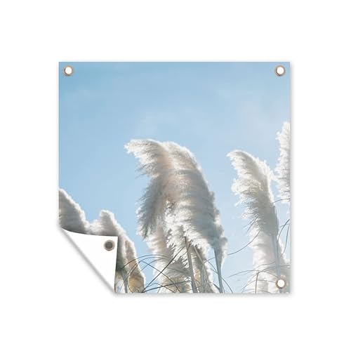 MuchoWow Poster exterieur Ciel - Herbe - Herbe de la pampa Decoration murale 50x50 cm Résistant aux intempéries/soleil