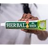 Herbal Essential Toothpaste - Teeth Whitening Toothpaste -100% Fluoride Free