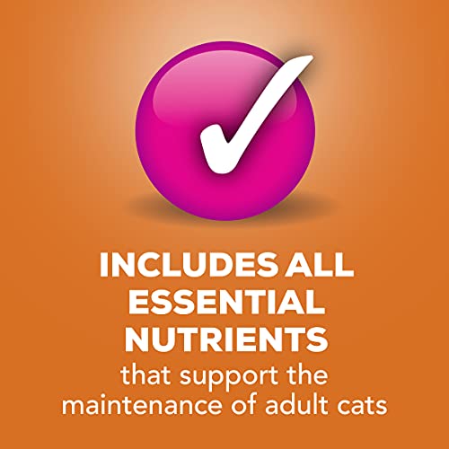 Purina Friskies Pate Wet Cat Food, Poultry Platter - (24) 5.5 Oz. Cans #TOP5