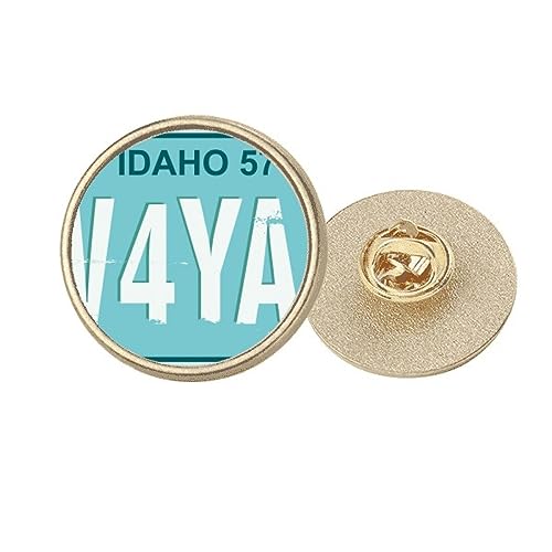 Broche ronde en métal doré plaque immatriculation américaine USA M