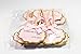 VERSAINSECT Shower Cupcake Toppers 12 Pack - Shimmer Baby Pink and Gold Glitter with Pink Ribbon - It's A Girl, Oh Baby, Precious Little Miracle, and Hello Princess - Pink Storage Box Included