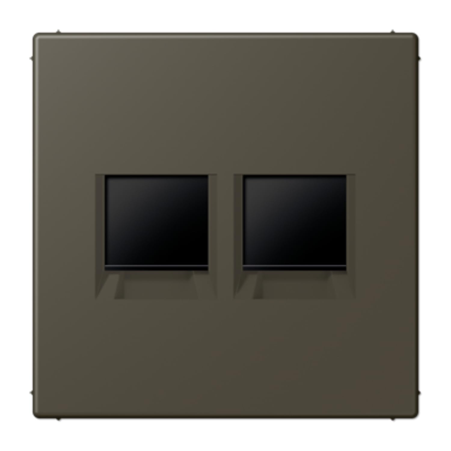 Plaque modulaire Jack-Rad double pour prise LC32140 JUNG LC1969-2WE241 réseau
