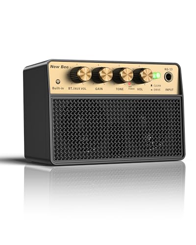 New Bee KG-10 ギターアンプ