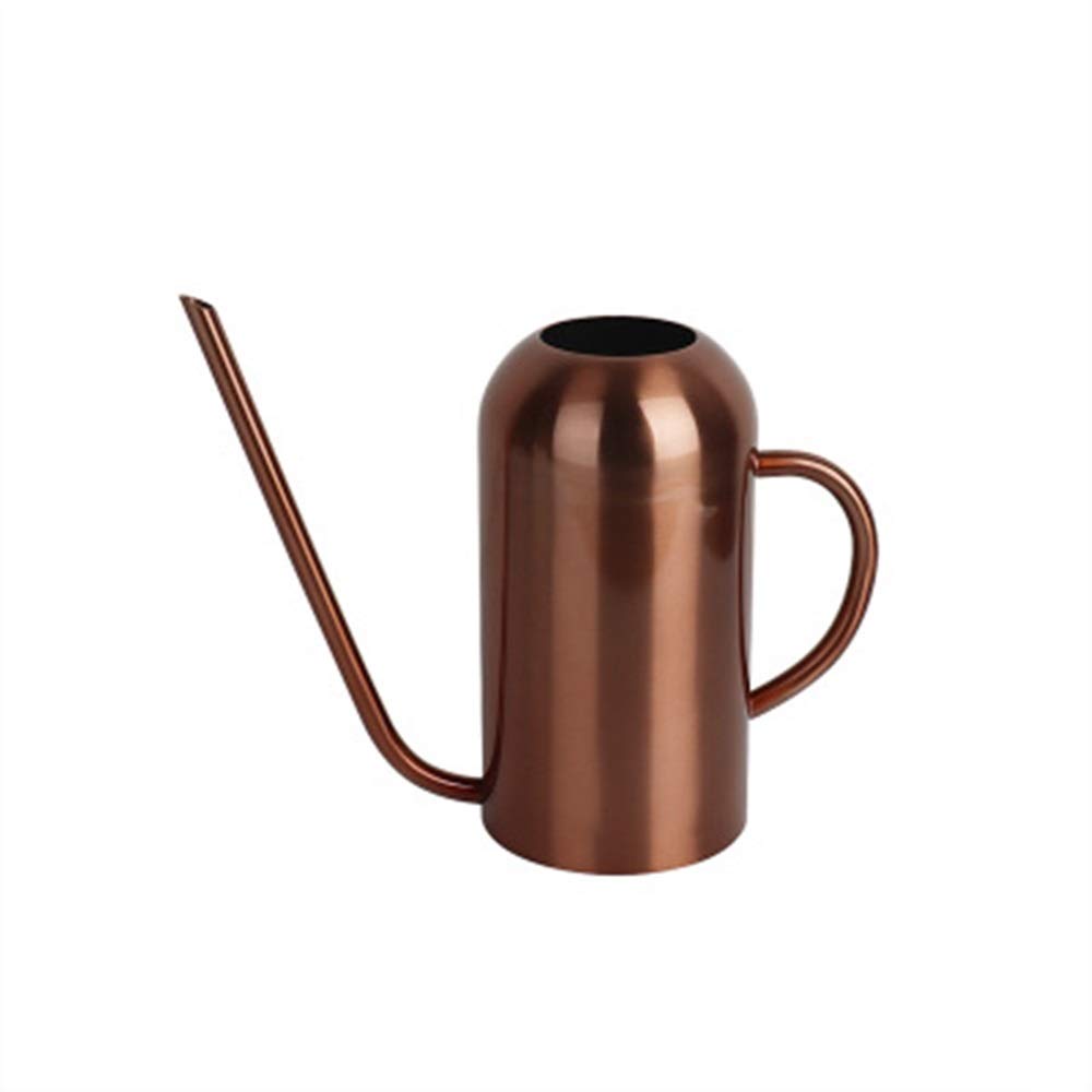 Arrosoir, arrosoir à longue bouche en acier inoxydable, grande capacité d'arrosage des plantes et des fleurs, arrosoir d'intérieur (couleur : noir, taille : 21 x 24,8 cm)(Copper)