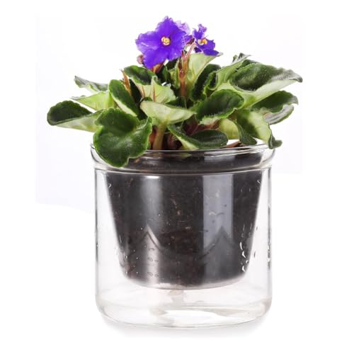 Ujjdwiurgh Maceta de riego automático de 4 pulgadas, maceta de cristal de riego inferior para plantas de interior y progagación para orquídeas violetas africanas
