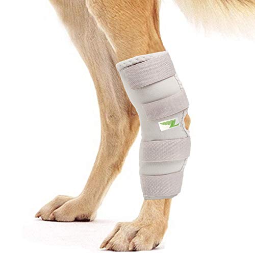 RockPet Gelenkbandage für das Hinterbein ihres Hundes (L, Grau)