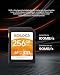 Ediloca EF2 UHS-I Speicherkarte 256GB, Lesen 100MB/s, Schreiben 90MB/s, C10, U3, V30, Full-HD und 4K-Video, SD-Karte für professionelle Fotografen