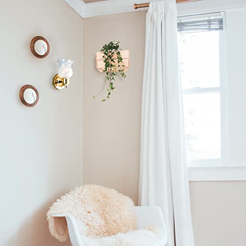 Design House Polished Brass Single Light Wall Sconce #TOP22
