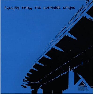 Falling from the Burnside Brid