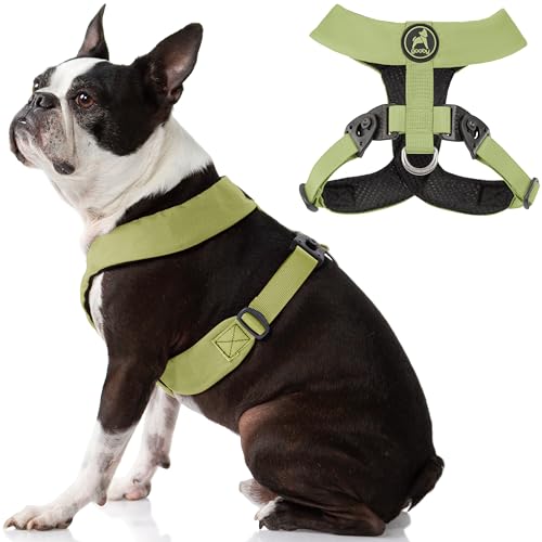 Gooby Comfort X Harness - Dual Snap, Green, Small - No Pull Dog Harness with Rotational Buckles and Patented Choke-Free X Frame