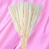 40 Pack GlamStems White Dried Pampas Grass Decor 18in w/ Safe Box | Pampas Grass Large | Pampas Grass Small | Dry Pampas…