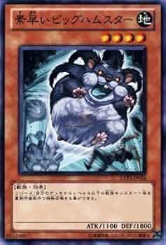 41Io50Ps4AL._AC_UF350,