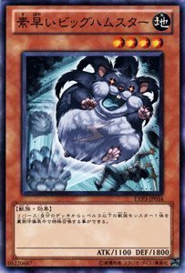 Amazon.co.jp: 遊戯王カード 【 素早いビッグハムスター 】 EXP3-JP034
