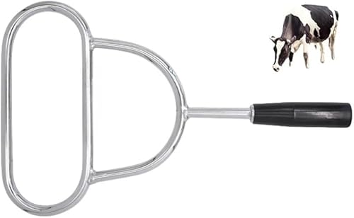 KryZaroƒ{pJ Ƌ׋aEƒ{f×p ؁ErEnEΉ S ϋv bE{YƎҌ?