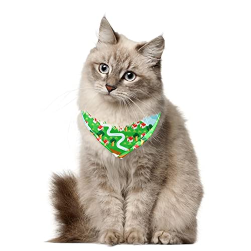 Hundehalstuch, Madeira, Karte, Mädchen, Jungen, Haustier-Lätzchen, Hundeschal, waschbar, Zubehör für kleine, mittelgroße und große Hunde, Welpen, Katzen, Haustiere, 2 Stück