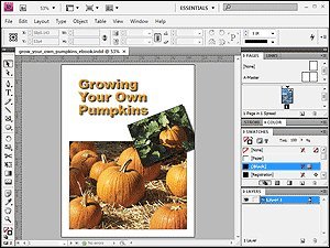 Adobe Photoshop Cs4 Tutorial And Adobe Indesign Cs4 Training On 5 Dvds #TOP2