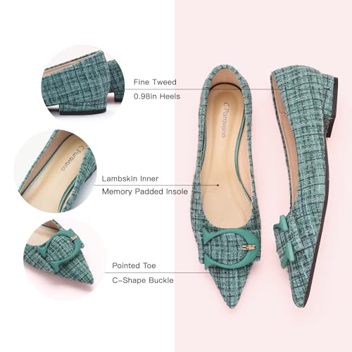 C.Paravano Women's Flats - Pointed Toe Dressy Shoes Ballet Flats Comfortable Slip on Shoes for Women Work,Daily(Size 6.5,Green Multi)4
