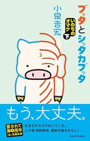 【中古】 ブッタとシッタカブッタ　3 なぁんでもないよ ブッタとシッタカブッタ 3 なぁんでもないよ | 小泉 吉宏 |本 | 通販