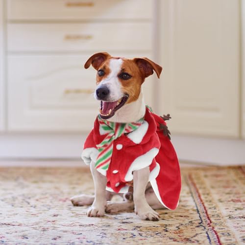 Disfraz navideño para perro con bufanda y cuernos de reno M miniatura 6
