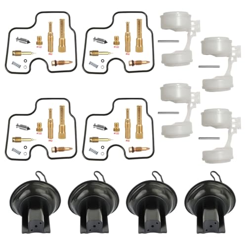 Kit carburateur SC24 1000 premium avec pointeau 19N00 et joints nitrile haute densité
