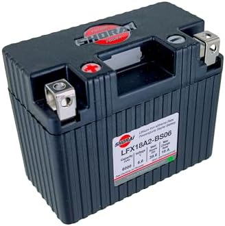 Amazon.com: Shorai LFX Lithium-iron Battery w/BMS, LFX14A1-BS12 