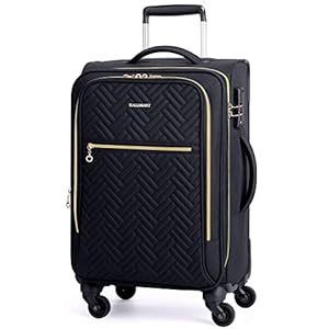 BAGSMART Carry On Luggage 20 Inch,Softside Expandable Suitcase with Spinner Wheels, Luggage 22x14x9 Airline Approved Rolling Lightweight Suitcases for Women Men,Black Carry-On (Black)